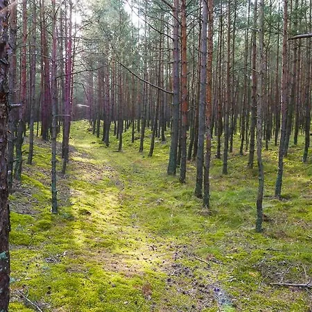 Dworek Bursztynowe Piaski Couette-café Gdańsk