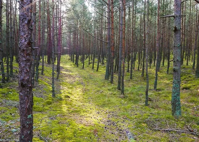 Dworek Bursztynowe Piaski فندق مبيت وإفطار غدانسك