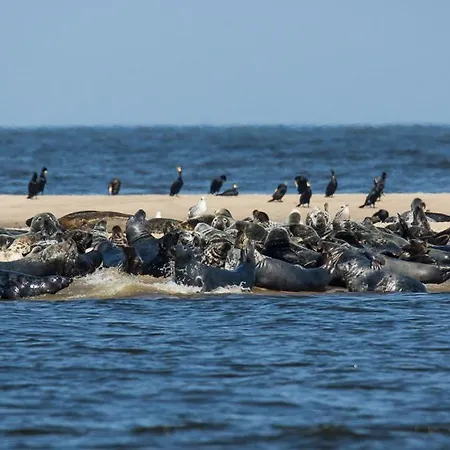 Oda ve Kahvaltı Dworek Bursztynowe Piaski 4*