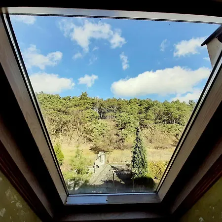 Oda ve Kahvaltı Dworek Bursztynowe Piaski Gdansk