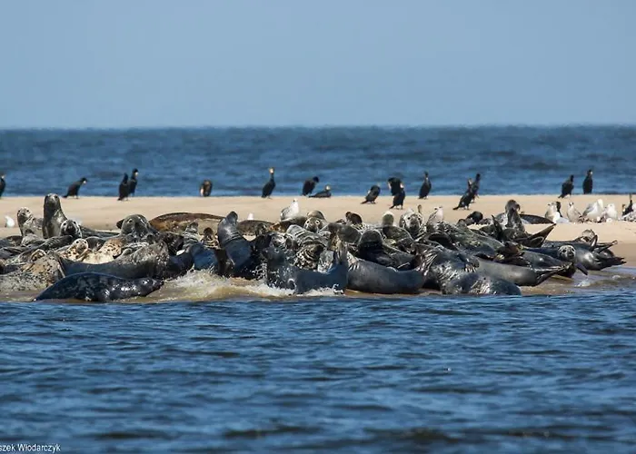 Bed & Breakfast Dworek Bursztynowe Piaski 4*